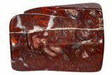 Polished Stromatolite (Collenia) - Minnesota #104434-1